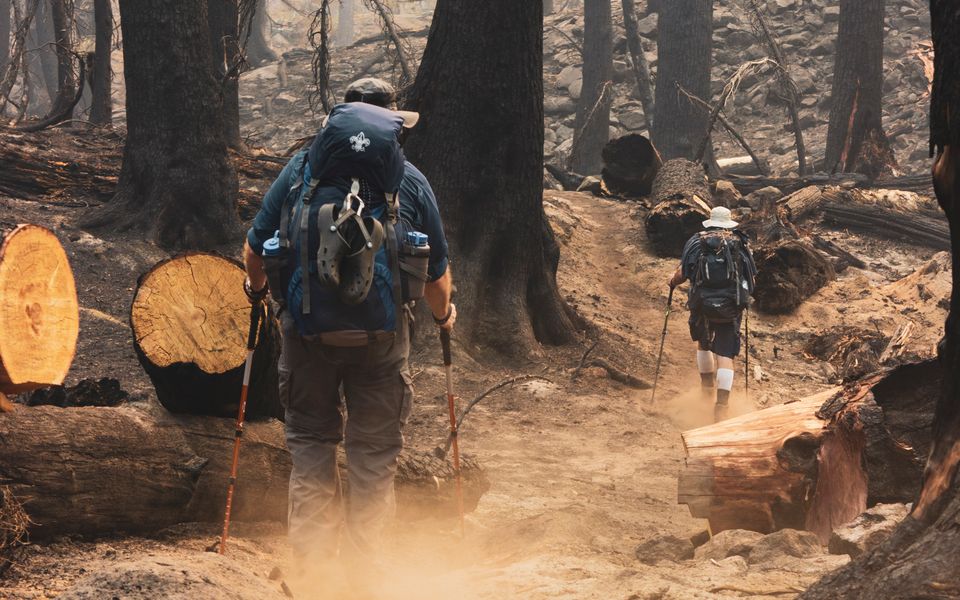 Carbon Trekking Poles